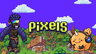 【PIXELS】 今日はPIXELSいくら稼げるか！？ 【Ronin】