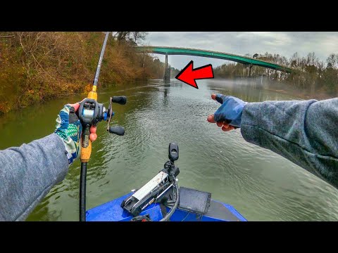 The HARDEST FIGHTING BASS I've Ever Caught (Big AND Aggressive!!)