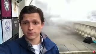 Cover art for fotosintesis