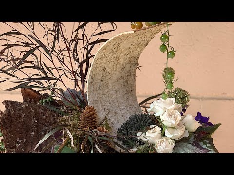 Earth Day with Marisa