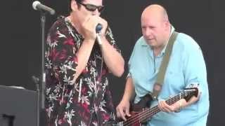 Virgil Caine Band Live at Boundary Waters Blues Festival