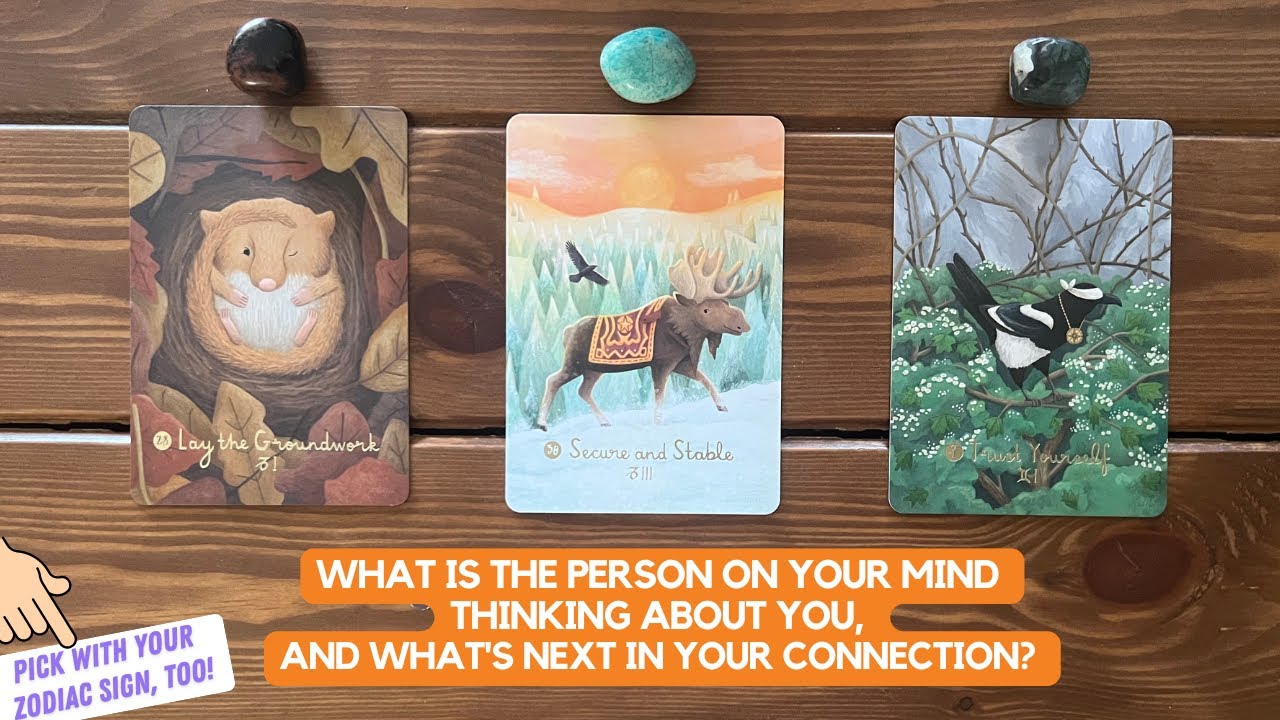 What is The Person on Your Mind Thinking About You, and What's Next in Your Connection? | Timeless