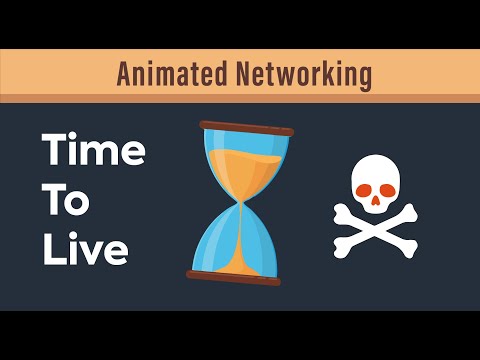 What is a TTL, Really?  - Time to Live Value Explained | CCNA & CompTIA Network+