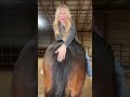 Girl On The Horse S Pussy
