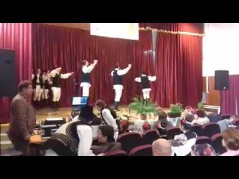 Ansamblul Armonia Ciuguzel