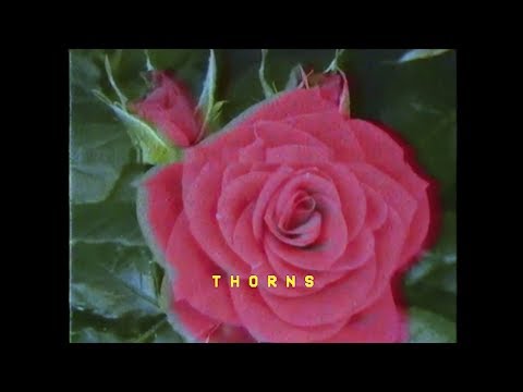 Thorns - Bonnie McKee