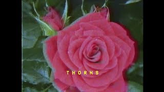 Bonnie McKee - Thorns (Audio)