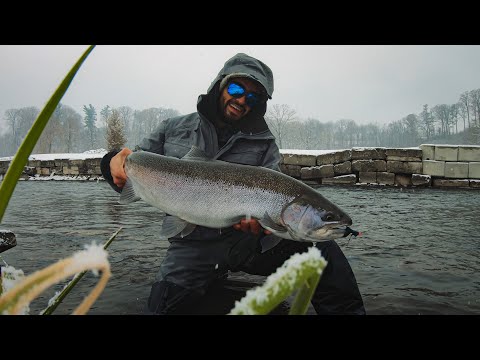 Fly Fishing Great Lakes Steelhead Fall 2021