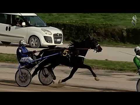 Aversa trotto 28 Dicembre 2022 - 4° Corsa