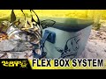 FLEX BOXEN - Ultimatives Taschensystem von BLACK CAT für Welsangler