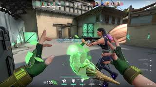 "SKYE" - Valorant Highlight#2