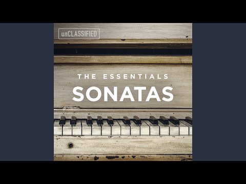 Cello Sonata in G Minor, Op. 65: I. Allegro moderato