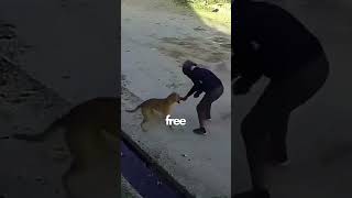 Rabid Dog Charges At a Biker 😦