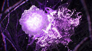 Immunoscience et système immunitaire