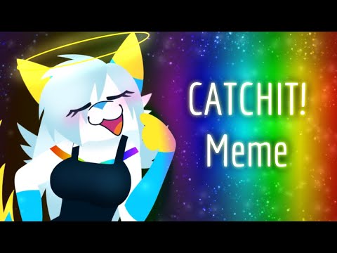 CATCHIT! - Animation Meme