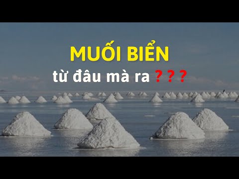 Tại sao nước biển lại mặn?