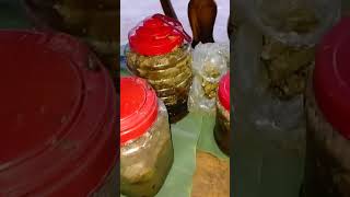 Download lagu #honey #honeybeesting #bee #food #nature mp3 Download lagu #honey #honeybeesting #bee #food #nature mp3