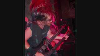 Steve DiGiorgio bass moments