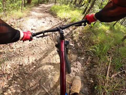 Trail 5 Nerang state forest