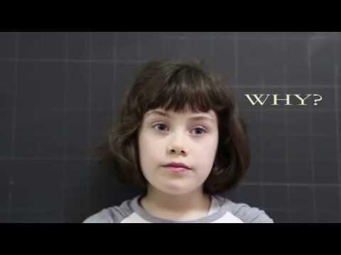 WHY? ::: Primary school "A. Saliceti" | 1rd class