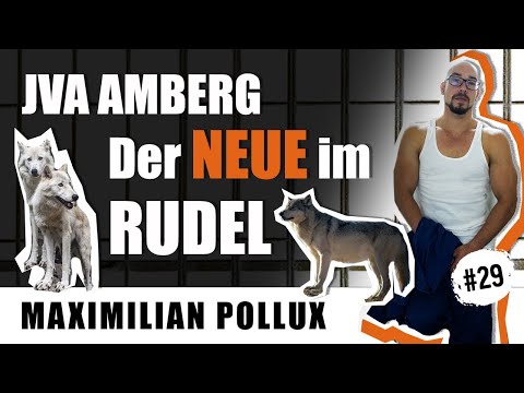 Der Neue im Rudel / JVA Amberg - Folge 29