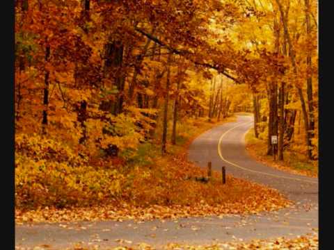 NƠI MÙA THU BẮT ĐẦU