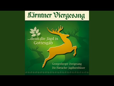 I bin a frischer Wildbratschütz