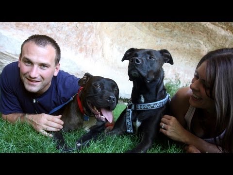 Former Bad Newz Kennels Vicktory Dogs, Have A Reunion At Best Friends Animal Society