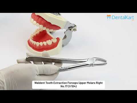Waldent Tooth Extraction Forceps Upper Molars Right, No.17 (1/104)