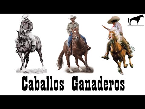 , title : 'Las Mejores Razas De Caballos Ganaderos 🐴-Del Cerro Soy'