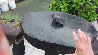 S/V iDos What a great time