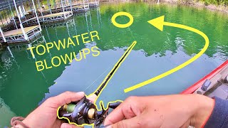BIG TOPWATER blowups on Table Rock Lake