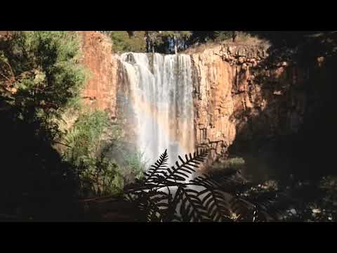 Dau Tagica ( Kalokalo Serau kei Vunivatu Vol.6 ) T Mavi & Joe Drekeni