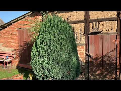 NOWA CENA!Dom wolnostojący z dużą działką i pomieszczeniami gospodarczymi w urokliwej  Gminie Wińsko