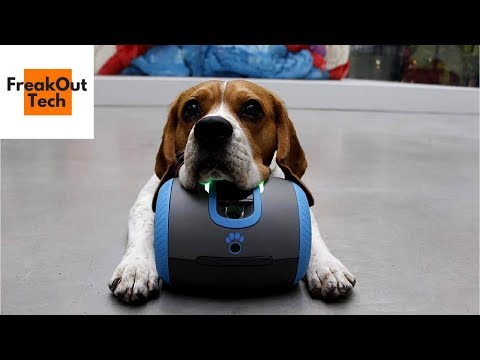 5 Cool Inventions For Your Dog #5 ✔ Video