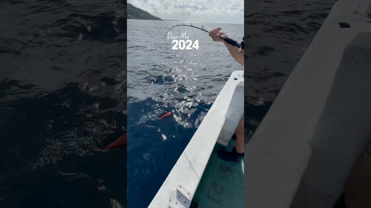 今年もありがとうございました♪来年もよろしくお願いいたします🙇‍♀️😘✨#wugtv #釣り #石垣島 #shorts #ishigakiisland