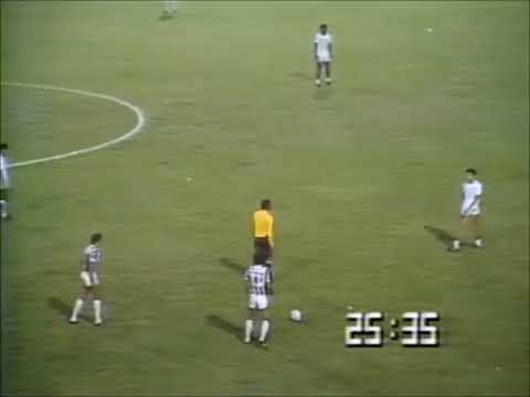 Gol de Serginho II - Santos x Cruzeiro 1983 - Nar. de Osmar Santos