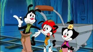download wakko download wakko