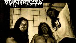 Agathocles - Gear - Wheels -