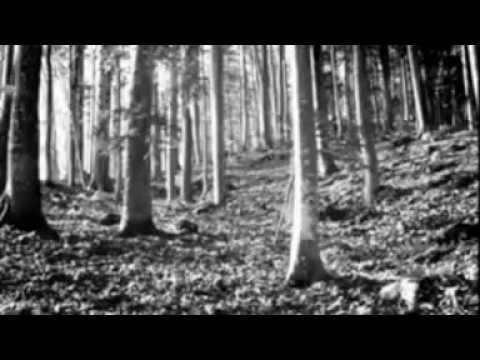 Martin Pogosyan - ES UZUMEM VOR AN-VERCH - автор ролика Анна Хачатрян