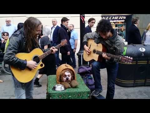 Emir Hot, Damjan Pejcinoski and a talented dog