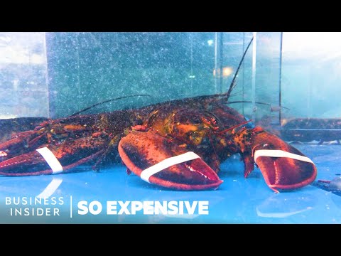 ロブスターはなぜ高価なのか? (Why Lobster Is So Expensive | So Expensive)