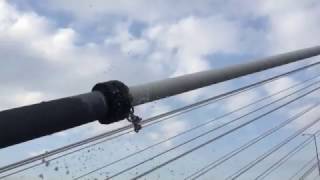 Cable Collar in action at Port Mann Bridge