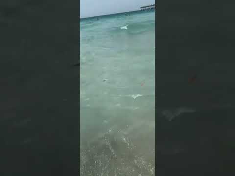 Jumeirah Al Naseem beach