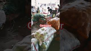 Download lagu another uproar #shortsvideo mp3