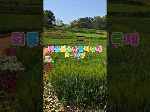 [4.25.(토)~5.5.(화)] 회룡포봄나들이축제가 시작되었습니다~