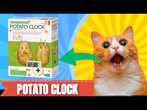potato clock - potato clock easy science experiment