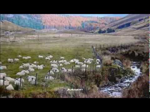 Jwana Stevenson & Zoltan Arany - Black Is the Colour (HQ)