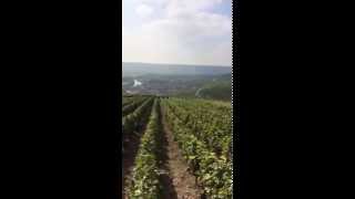 preview picture of video 'Vineyards of Hautvillers overlooking the Marne river'