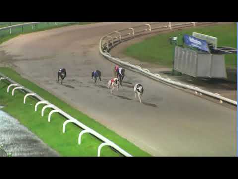 2020 BGBF STAKES - HEAT 1 - T4 AMKA ROFE